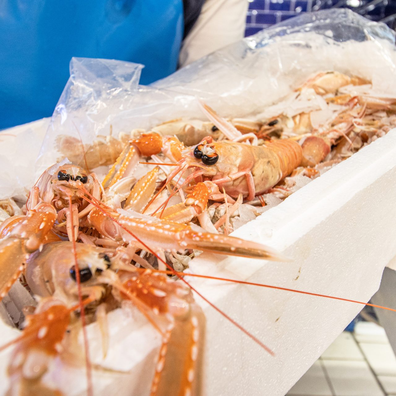 Caissons spéciaux pour l'exportation de produits agroalimentaires